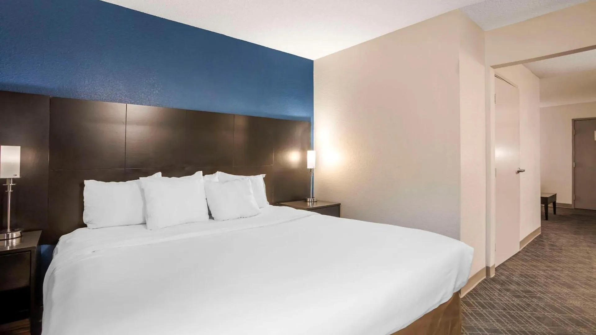 Comfort Suites Nashville Airport - Bna United States
